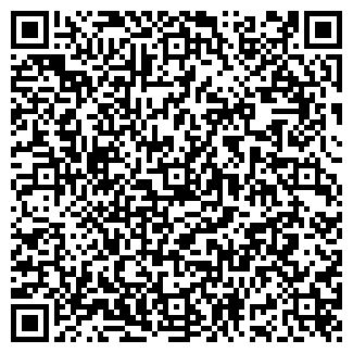 QR-код с контактной информацией организации ИП Идрисова Н.Ю.