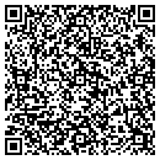 QR-код с контактной информацией организации ИП Савкин Н.Г.