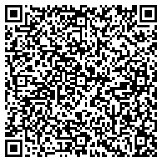 QR-код с контактной информацией организации Arcobalena