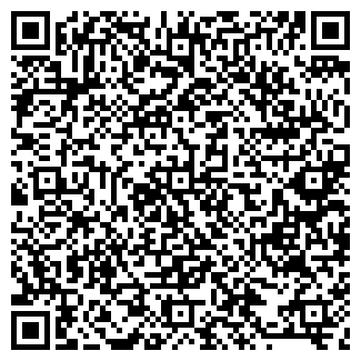 QR-код с контактной информацией организации ИП Горгоносов Н.С.