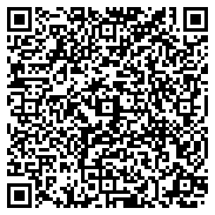 QR-код с контактной информацией организации Dubo