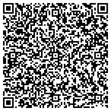 QR-код с контактной информацией организации ИП Чернышов Н.А.