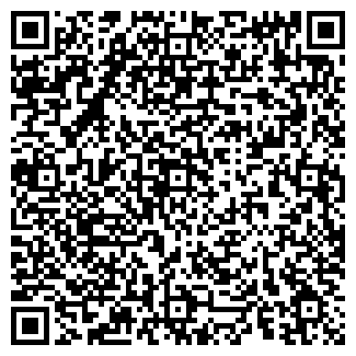 QR-код с контактной информацией организации ИП Вилков С.С.