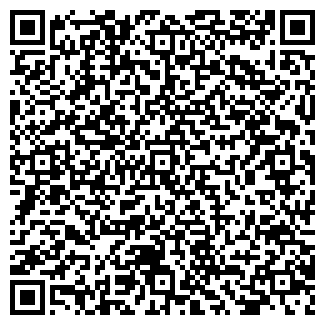 QR-код с контактной информацией организации Ромашка