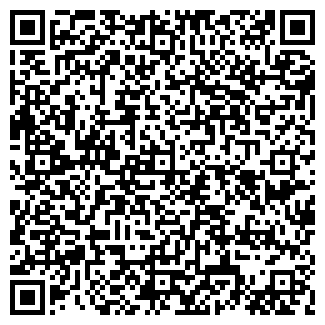 QR-код с контактной информацией организации ИП Велькин С.Б.