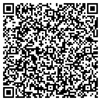 QR-код с контактной информацией организации ИП Ракинцева Т.Г.