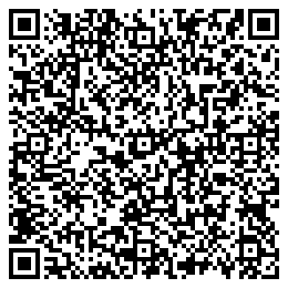 QR-код с контактной информацией организации ИП Ляпина А.Р.
