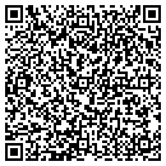 QR-код с контактной информацией организации ИП Чернова С.А.