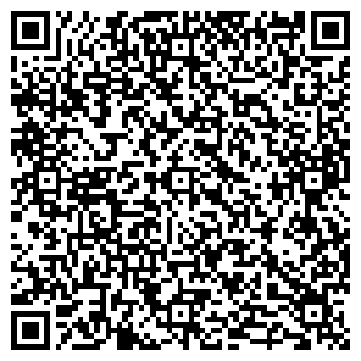 QR-код с контактной информацией организации Теремок игрушек