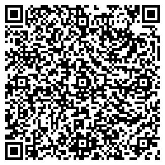 QR-код с контактной информацией организации Ромашка, магазин, ООО Эмин