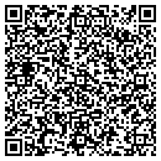 QR-код с контактной информацией организации Сириус, магазин