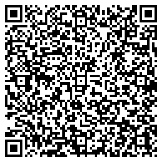 QR-код с контактной информацией организации КОЛИЗЕЙ РИЦ