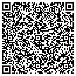QR-код с контактной информацией организации ЛЕММА РАДИО