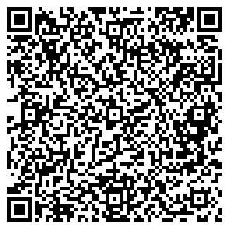 QR-код с контактной информацией организации ИП Норова Т.С.