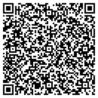 QR-код с контактной информацией организации Изумруд, продуктовый магазин