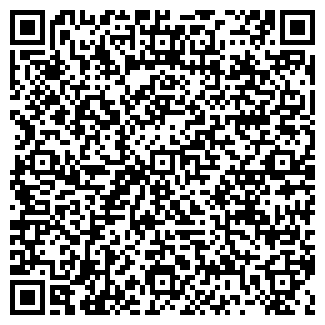 QR-код с контактной информацией организации Холостяк, продуктовый магазин