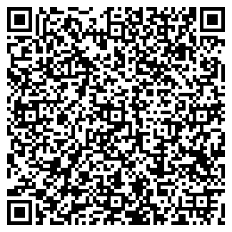 QR-код с контактной информацией организации АЗС Сибнефть74, №12