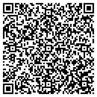 QR-код с контактной информацией организации ДИВС, ООО