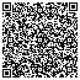 QR-код с контактной информацией организации Чинар, продуктовый магазин