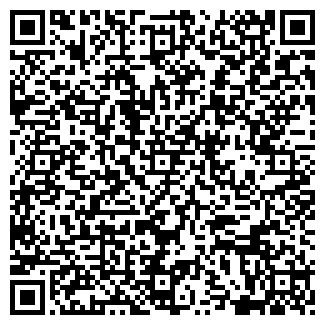 QR-код с контактной информацией организации Сильва