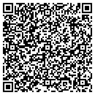 QR-код с контактной информацией организации Эльфина
