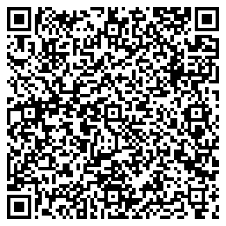 QR-код с контактной информацией организации ИП Зуфарова Р.З.
