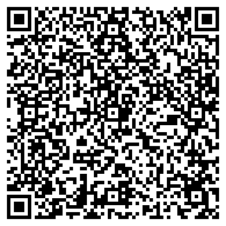 QR-код с контактной информацией организации ЕЛЕСИН, ЧП