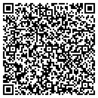 QR-код с контактной информацией организации Шах