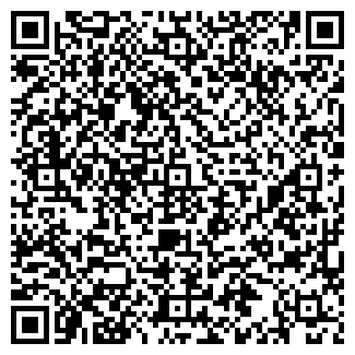 QR-код с контактной информацией организации Шах