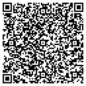 QR-код с контактной информацией организации Publica