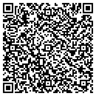 QR-код с контактной информацией организации Светосила