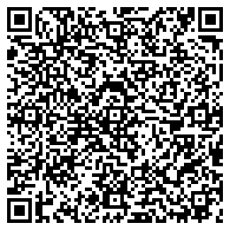 QR-код с контактной информацией организации ИВЛЕВА, ЧП