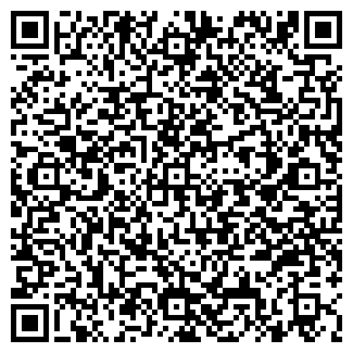 QR-код с контактной информацией организации Dolce Vita