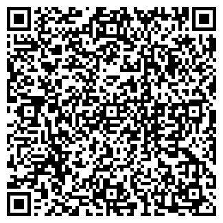 QR-код с контактной информацией организации ИП Сафина Н.М.