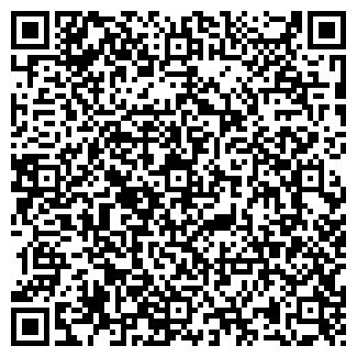 QR-код с контактной информацией организации ИП Киреева Г.А.