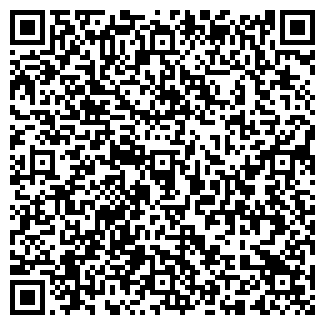 QR-код с контактной информацией организации Новинка