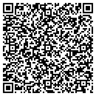 QR-код с контактной информацией организации "Ньокки"
