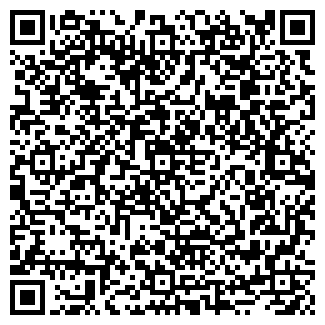 QR-код с контактной информацией организации Алиса