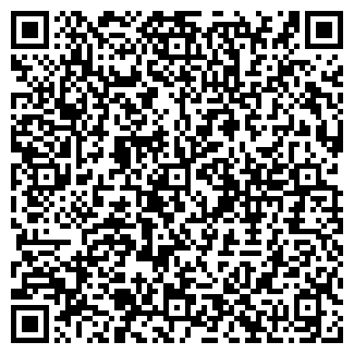 QR-код с контактной информацией организации ИП Чуб Н.Ю.