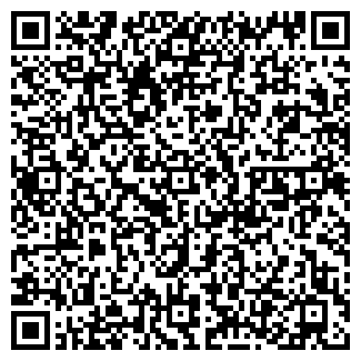 QR-код с контактной информацией организации РУЗА КО. ЛТД.