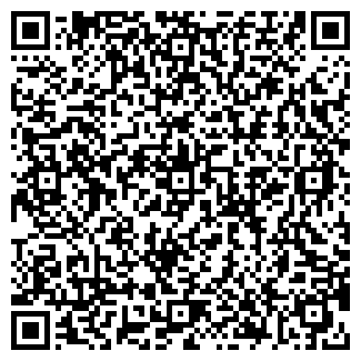 QR-код с контактной информацией организации Vаниль