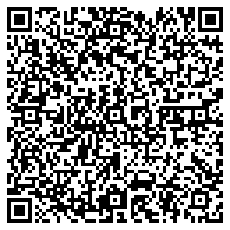 QR-код с контактной информацией организации Pizza & Rolls