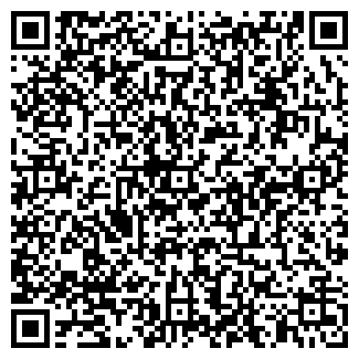 QR-код с контактной информацией организации АГЗС, ООО Магнит, №2