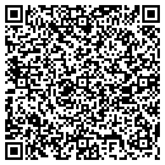 QR-код с контактной информацией организации Барс