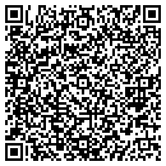 QR-код с контактной информацией организации Диоланд, кафе