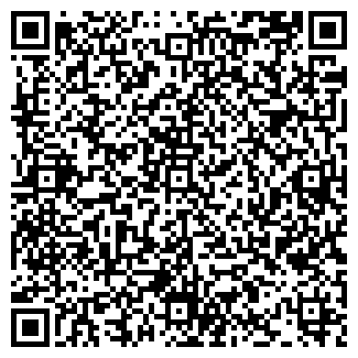 QR-код с контактной информацией организации ООО Элис