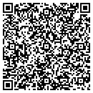 QR-код с контактной информацией организации ИП Ефимова В.Б.