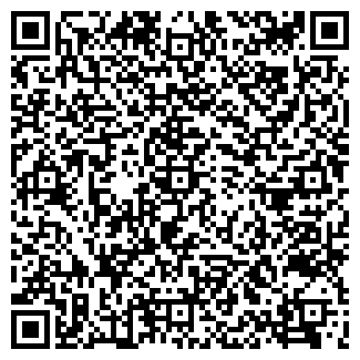 QR-код с контактной информацией организации "Ньокки"