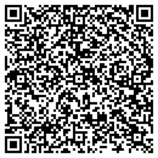 QR-код с контактной информацией организации Ластик