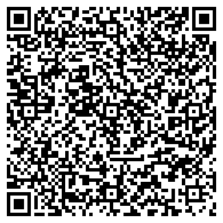 QR-код с контактной информацией организации ОДИССЕЙ ФИРМА